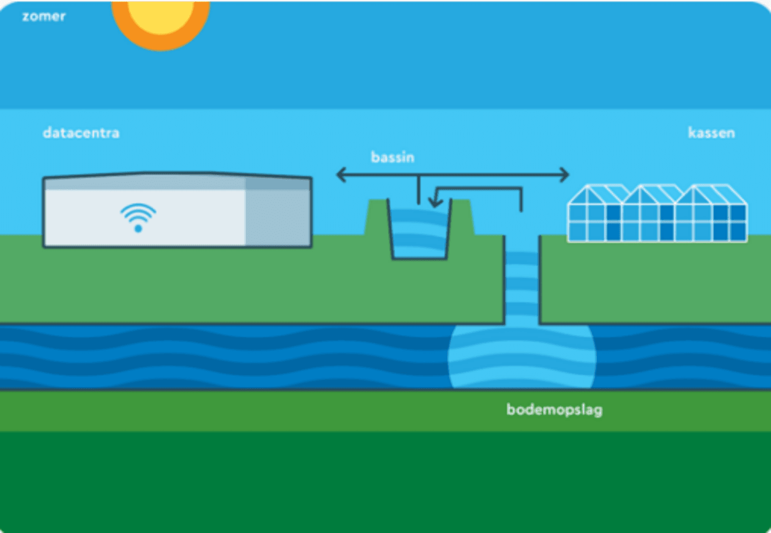 Agriport in de zomer